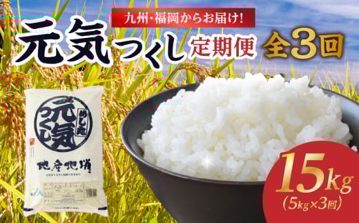 九州・福岡からお届け！ブランド米「元気つくし」定期便【全３回】 お米 直送 お弁当 おにぎり 炊きたて