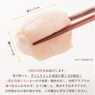 宮城県産 生食用 生ホタテ貝柱（500g/約15個〜18個入り）冷蔵 帆立 ほたて 貝 魚介 海鮮 刺身 生食 生ほたて 生帆立 宮城県 石巻市 宮城 石巻