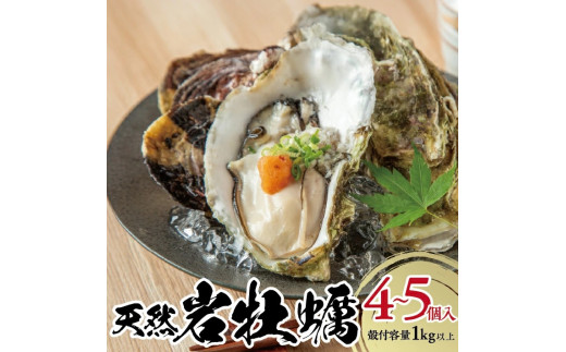天然岩牡蠣　計1kg以上(4～5個入) SA2969