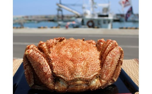 北海道雄武町産メガサイズ！毛ガニ(冷凍)1kg前後×1尾