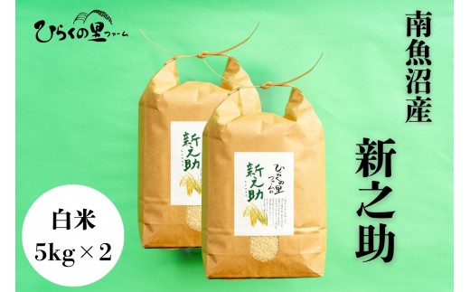 【R7年産】金賞 南魚沼産新之助 白米5kg×2 きらめく大粒！ ひらくの里ファーム【2025年11月上旬より順次発送予定】
