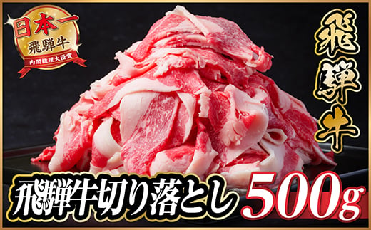 
                  【訳あり】飛騨牛 切り落とし 約500g【1531510】
                