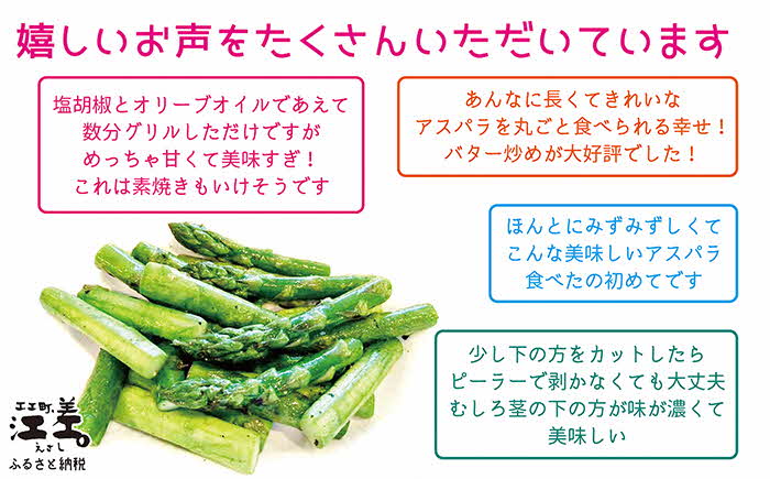 【早期予約：4月～順次発送】北海道江差町産 アスパラガス 2kg　L〜2Lサイズ　朝採り　農家直送　太いのに、やわらかい！　甘くて、ジューシー！　食べ応えばつぐん！　グリーンアスパラガス