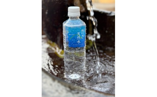 【7ヶ月定期便】＼名水百選認定／尚仁沢の天然水 500ml×24本｜塩谷町 栃木県 軟水 湧水  天然水  ペットボトル
