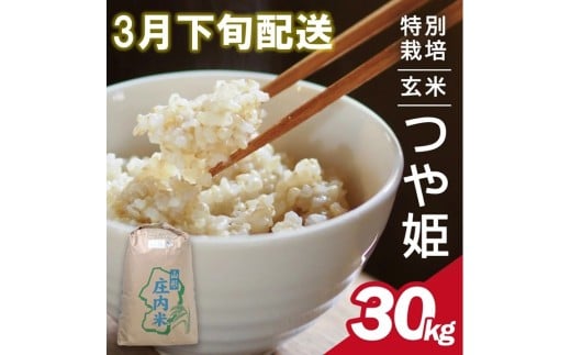 3月下旬配送／令和7年産【玄米】特別栽培米 つや姫　30kg×1袋〈太ももの会〉 FU SH0060