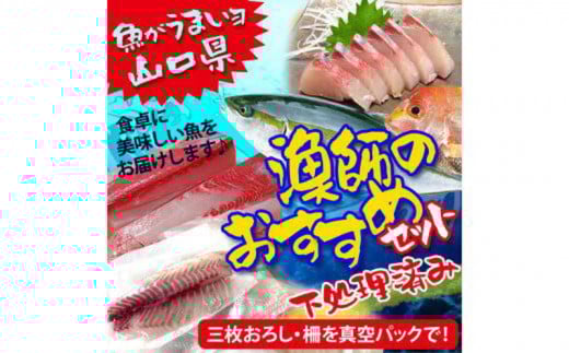 山口県 漁師 厳選 鮮魚 詰め合わせ サクセット（下処理済）【山口県 宇部市 魚 漁師 新鮮 おいしい 魚 選りすぐり 下処理 サク 三枚おろし 真空バック 煮魚  魚介類 海の幸 調理 刺身 鍋 揚げ物 焼き おかず おたのしみ 】