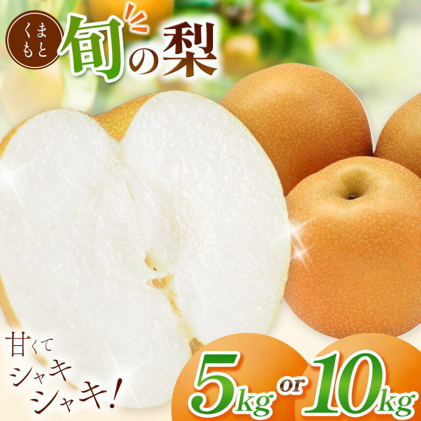 【ふるさと納税】【 先行予約 】選べる内容量 くまもと 旬の 梨 約 5kg ・ 約 10kg | 果物 フルーツ なし 豊水 凛夏 秋麗 秋月 あきづき 新高 甘太 熊本県 玉名市