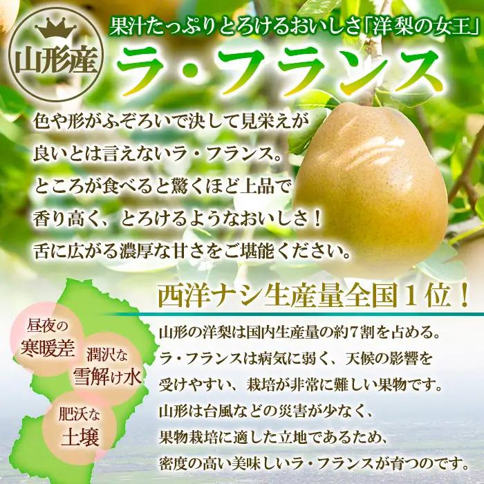 山形の洋梨 ラフランス 優品 約5kg (小玉2L～M/18～24玉)[11月発送]【令和8年産先行予約】 FS25-782