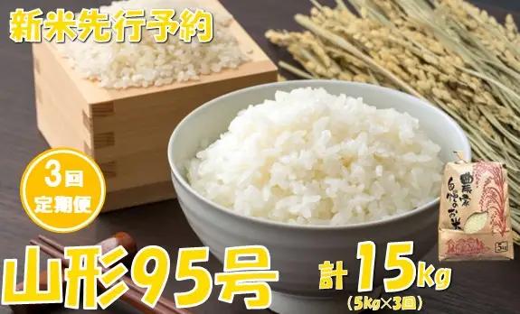 【3回定期便】【令和８年産米 先行予約】山形95号5kg　計15kg　佐藤