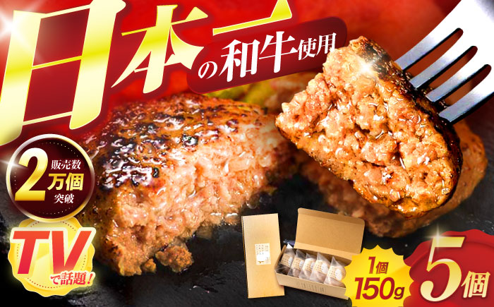 ながさきふわとろハンバーグ 150g×5個入 / ハンバーグ はんばーぐ 肉 牛肉 豚肉 おかず 惣菜 / 諫早市 / ワールド・ミート有限会社 [AHBG005]
