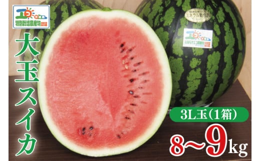 【先行予約】茨城県産大玉スイカ3Lサイズ（8～9kg）【大地のめぐみ】（2025年6月中旬～6月下旬頃にお届け）【茨城県 阿見町 スイカ 1玉 すいか 西瓜 果物 くだもの フルーツ 国産 甘い 送料無料】（04-25）