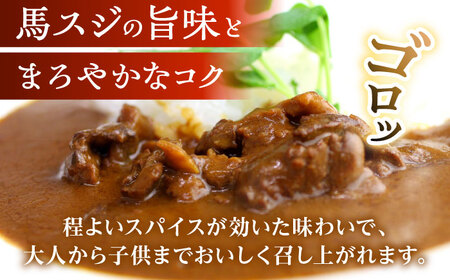 馬スジのカレー 10食 210g×10 計2.1kg 【株式会社 千興ファーム】[AYAF027]
