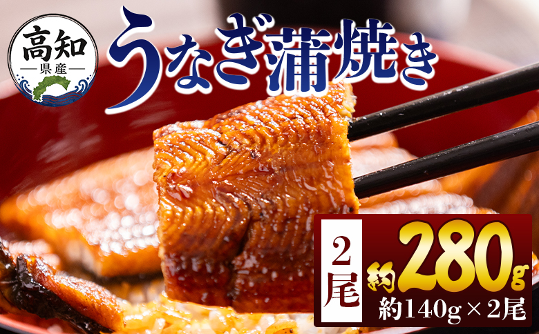 高知県産蒲焼きうなぎ 約１４０ｇ ２尾 計約２８０ｇ fb-0144