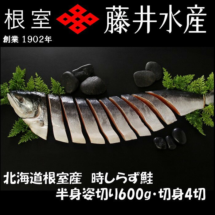 【ふるさと納税】 [北海道根室産] 時しらず鮭切身 600g × 1P ・ 1 切 × 4P グルメ 鮭 さけ サケ しゃけ シャケ 魚 さかな サカナ 沖どれザケ 沖どれざけ 春ざけ 春鮭 時不知 時鮭 ときしらず お取り寄せ 海鮮 切り身 塩鮭 塩ざけ 北海道 根室市 ふるさと納税 B-42112