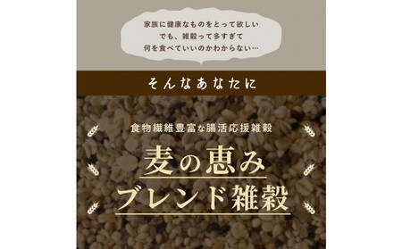 麦の恵み24穀米ブレンド 4kg(800g×5袋)