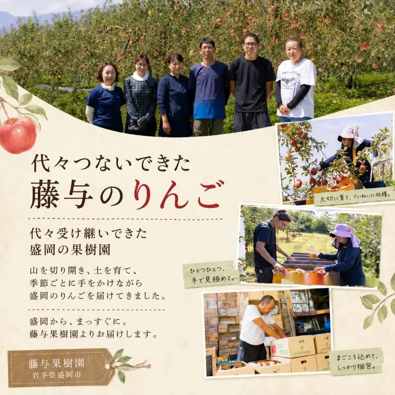 【2月発送】訳ありサンふじ3kg りんご 藤与果樹園 サンふじ fujiyo001t