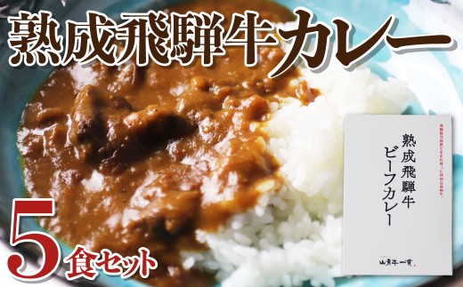 熟成飛騨牛カレー レトルト 詰め合わせ 5食セット / 飛騨牛 国産 和牛 肉 カレー 熨斗対応 レトルトカレー ビーフカレー ごはん 米 に！ 保存食 常備食 備蓄 防災 熨斗対応 飛騨市 25000円