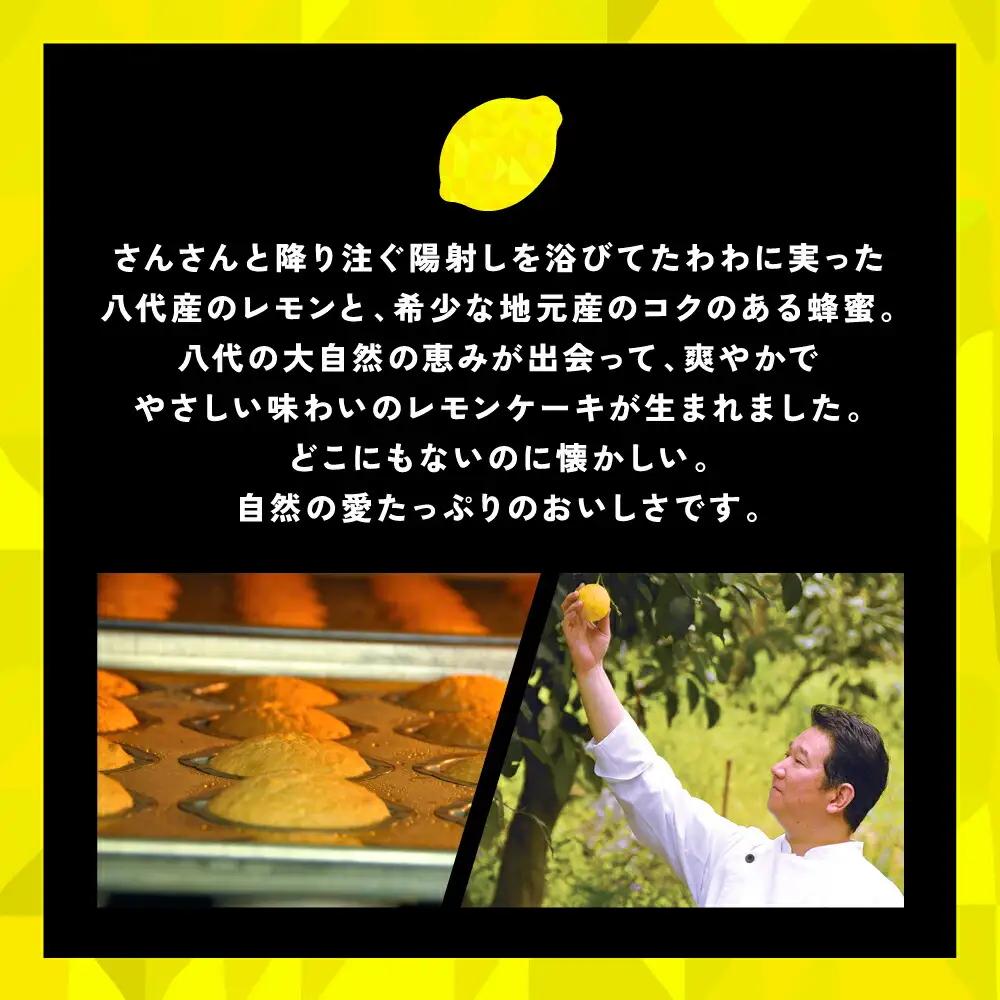 レモンケーキ 15個入 八代産レモン使用 焼き菓子 洋菓子 