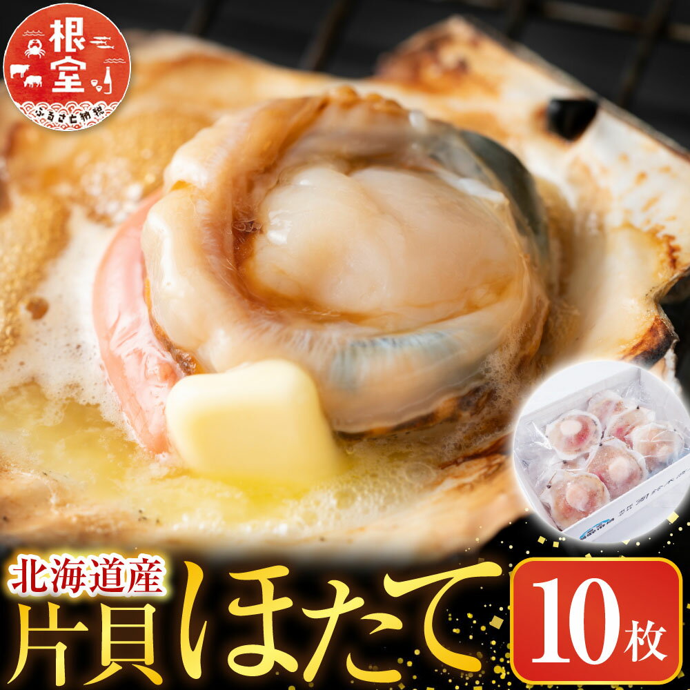 【ふるさと納税】 根室海鮮市場 ＜直送＞ 片貝ほたて 10 枚 ホタテ ほたて 帆立 帆立貝柱 ほたて貝柱 ホタテ貝柱 貝柱 殻付き 炉端焼き お取り寄せ グルメ 海鮮 北海道 根室市 ふるさと納税 G-28044
