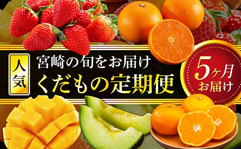 「人気くだもの定期便」全5回 果物 くだもの フルーツ 定期便 全5回  いちご せとか マンゴー メロン みかん フルーツ 旬 旬の果物 旬のフルーツ 季節の果物 季節のフルーツ 旬 お取り寄せ 果物の定期便 フルーツの定期便 青果物 青果 農産物 贈答