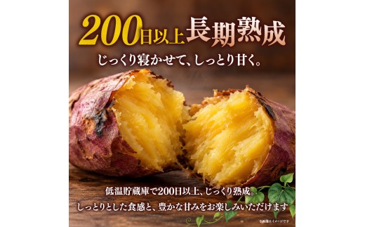 紅はるか【訳あり】長期熟成のさつまいも 10kg 扇屋商店｜紅はるか  国産 サツマイモ 薩摩芋 さつま芋 10kg ポテト 焼いも 焼き芋 焼芋 無添加 おやつ 自然食品 ねっとり 甘い 自然甘味 