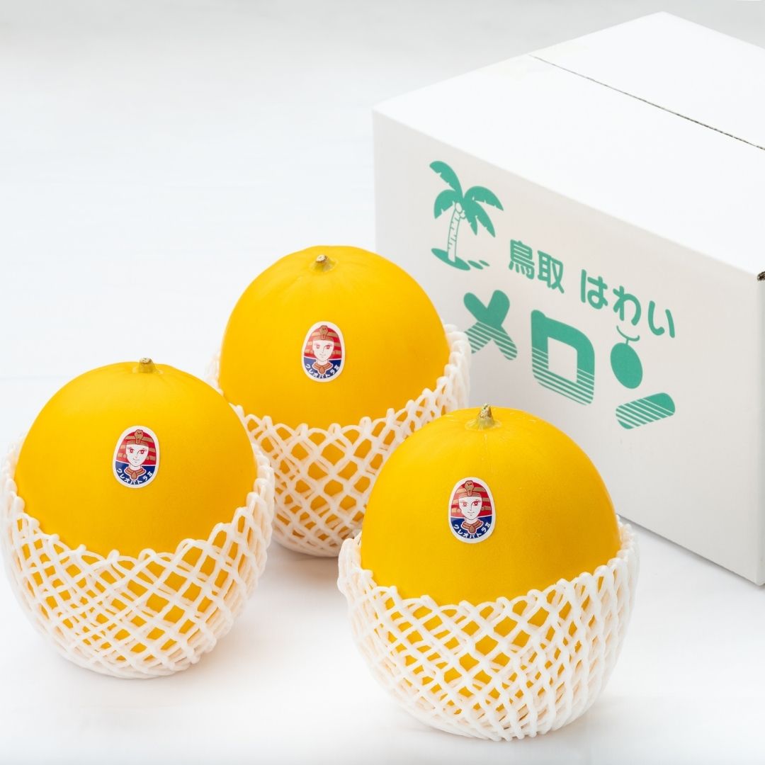 【ふるさと納税】メロン 5kg 2玉 3玉 4玉 5玉 6玉 クレオパトラ 樋口農園 | 鳥取県 湯梨浜町 果物 フルーツ 特産品