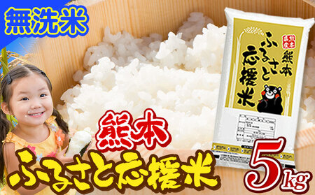 米 無洗米 家庭用 熊本 ふるさと応援 米 5kg《7-14日以内に出荷予定(土日祝除く)予定》熊本県産 白米 精米 山江村 ブレンド米 国産 洗わず コロナ おうちご飯 予約 返礼品 発送 配送 SDGs