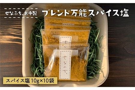 ＜テレビで紹介された人気カレー店＞ブレンド万能スパイス塩 10袋セット【せなふち。】 [FCM001]