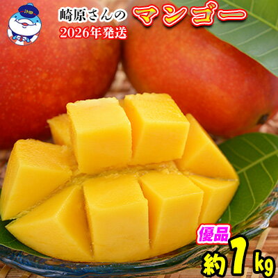 【ふるさと納税】2026年発送　道の駅許田の優品アップルマンゴー　約1kg 完熟 マンゴー アップル 南国 沖縄 フルーツ くだもの 果物 果実 先行予約 産地直送 贅沢 濃厚 スイーツ デザート 旬の果物 贈り物 ギフト プレゼント 贈答用