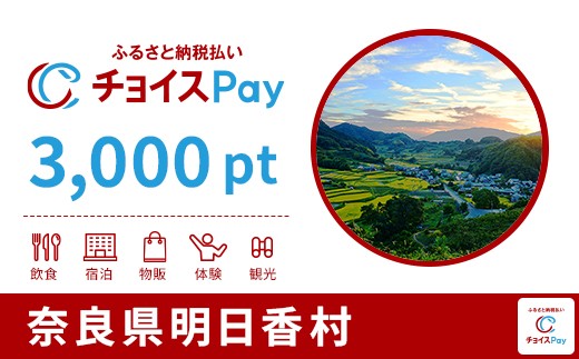 
            明日香村チョイスPay 3,000pt【会員限定のお礼の品】
          