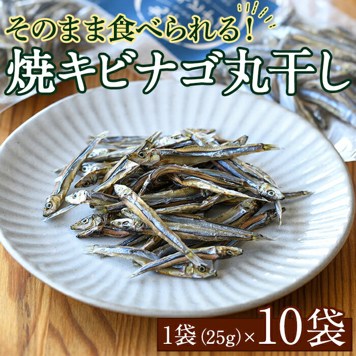 【ふるさと納税】焼キビナゴ丸干し10袋セット(25g×10袋)海産物 きびなご おつまみ おかず【下園薩男商店】akn086-08