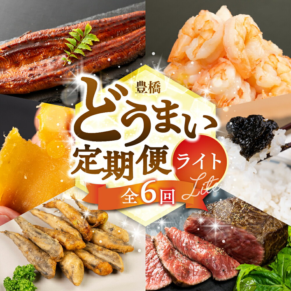 【ふるさと納税】どうまい定期便 Lite 全6回 えび 鰻 海鮮 干し芋 ローストビーフ のり佃煮 海苔 6ヶ月 6カ月 定期配送 おススメ 人気 牛肉 牛 魚 肉 5万 定期 50000円 定期便 エビ 海老 むき海老 むきエビ 6回 人気 どうまい 豊橋 冷凍 干芋 シャトーブリアン 愛知県 豊橋市