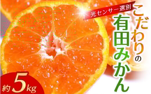 【2025年11月発送】＼光センサー選別／農家直送 【家庭用】こだわりの有田みかん　約5kg＋250g(傷み補償分) みかん ミカン 有田みかん 温州みかん 柑橘 有田 和歌山 ※北海道・沖縄・離島配