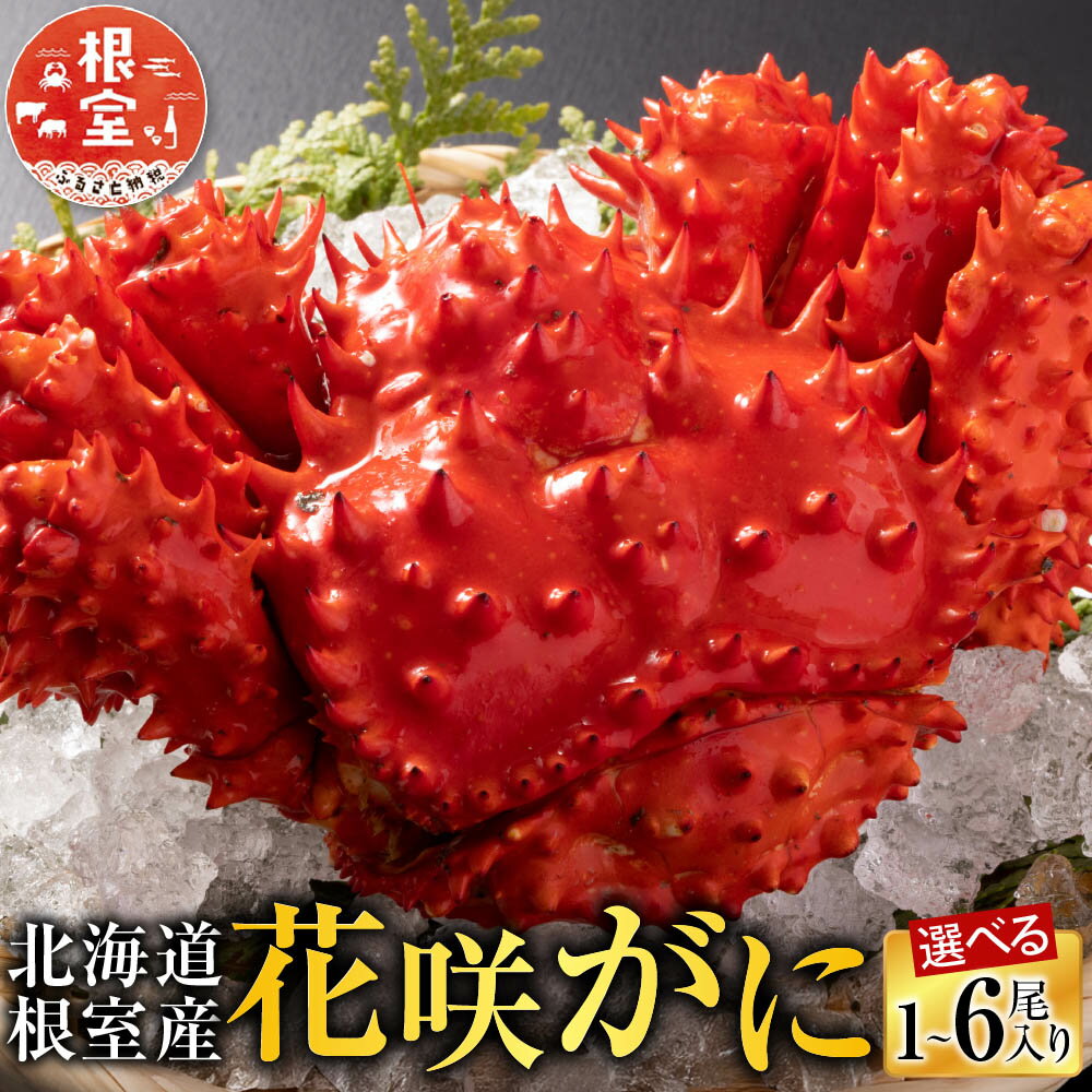 【ふるさと納税】 [北海道根室産] 花咲かに 選べる 2 ~ 6 尾 カニ 蟹 かに 花咲蟹 花咲ガニ 海鮮 海産物 花咲がに 花咲 お取り寄せ グルメ 北海道 根室市 ふるさと納税