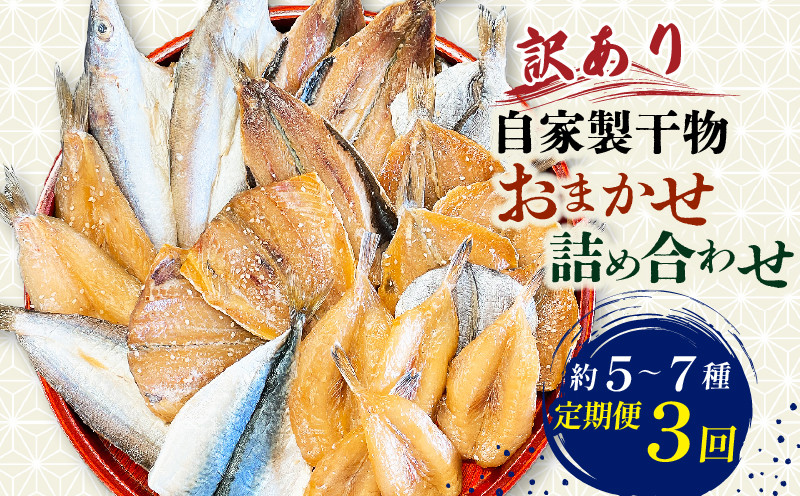 
            【3回定期便】 訳あり 自家製 干物 おまかせ詰め合わせ 約5～7種 毎月･隔月選べる サバ あじ カマス シロサバフグ イワシ シズ カマス 冷凍 干物 鰯 海の幸 鯖 ひもの 詰め合わせ 干物 海鮮 干物セット 魚介 ひもの 干物 海の幸 ひもの あじ 干物 魚貝類 ふるさと納税干物 おかず つまみ 晩酌 ご飯のお供 魚貝 人気 おすすめ 愛知県 南知多町
          