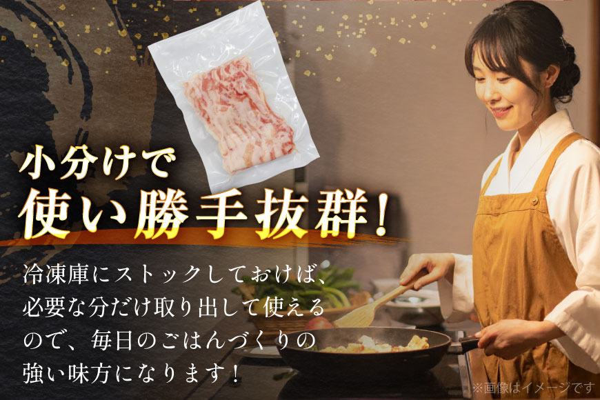 豚肉 バラエティ セット 計3kg ロース とんかつ用 豚こま 肩ロース スライス 切り落とし しゃぶしゃぶ [司フーズ・システム 兵庫県 三田市 3d28bdy500013] 豚 肉 とんかつ 小間