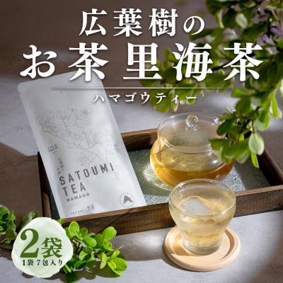 ふるさと納税 大月町 広葉樹のお茶 里海茶 ハマゴウ 2袋 14パック入り カフェインフリー 野草茶 高知県 大月町