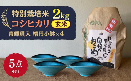 【令和7年産】 玄米 コシヒカリ 特別栽培米 （2kg） + 【美濃焼】 青輝貫入 楕円小鉢 （4枚） 多治見市 / 山松加藤松治郎商店 [TEU042]