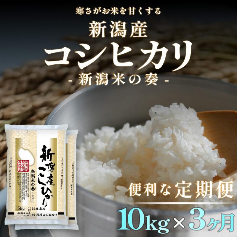 【ふるさと納税】【定期便】新潟産 コシヒカリ 10kg×3回（3ヶ月）　お届け：寄附確認月の翌月より発送