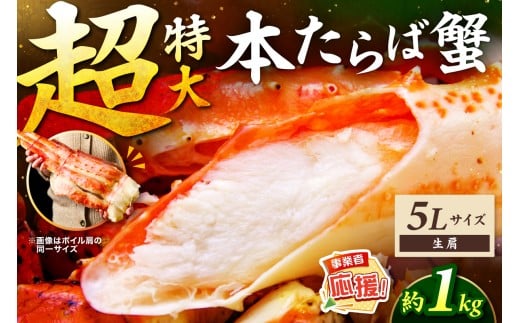 【1肩約1kgの極太5Lサイズ】一番人気！ 本たらば蟹 生肩 約1kg【ふるさと納税3.0】【087C-057】