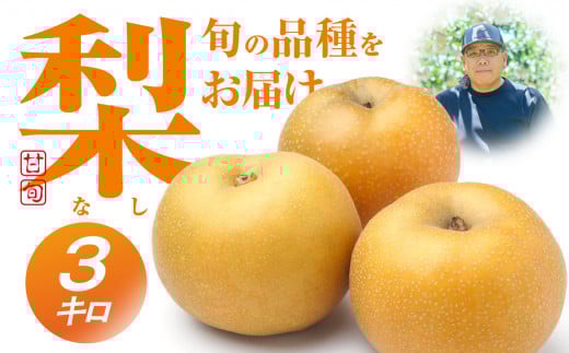 ≪2026年 先行予約≫朝倉さんの『小島梨』 3kg　~ 9玉 幸水 凛夏 秋麗 あきづき 甘太 なつしずく あきあかり  ほしあかり 新品種 など 産直直送