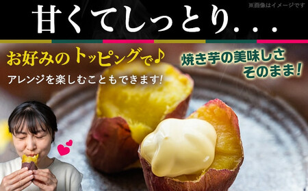 【敬老の日】島津甘藷(紅はるか)冷凍焼き芋 16本≪9月11日～15日お届け≫_AA-A702-KG_(都城市) 冷凍 焼き芋 品種改良 サツマイモ 「紅はるか」 熟成 アレンジ