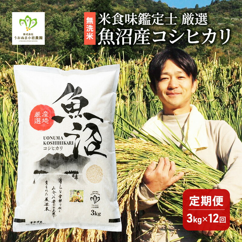 【ふるさと納税】無洗米「米食味鑑定士 厳選」魚沼産コシヒカリ 3kg 12ヵ月連続お届け　米 こめ お米 コメ こしひかり 新潟県 魚沼市 魚沼 ライス ご飯 主食 新潟県産 産地直送 時短　お届け：寄附入金月の翌月より発送