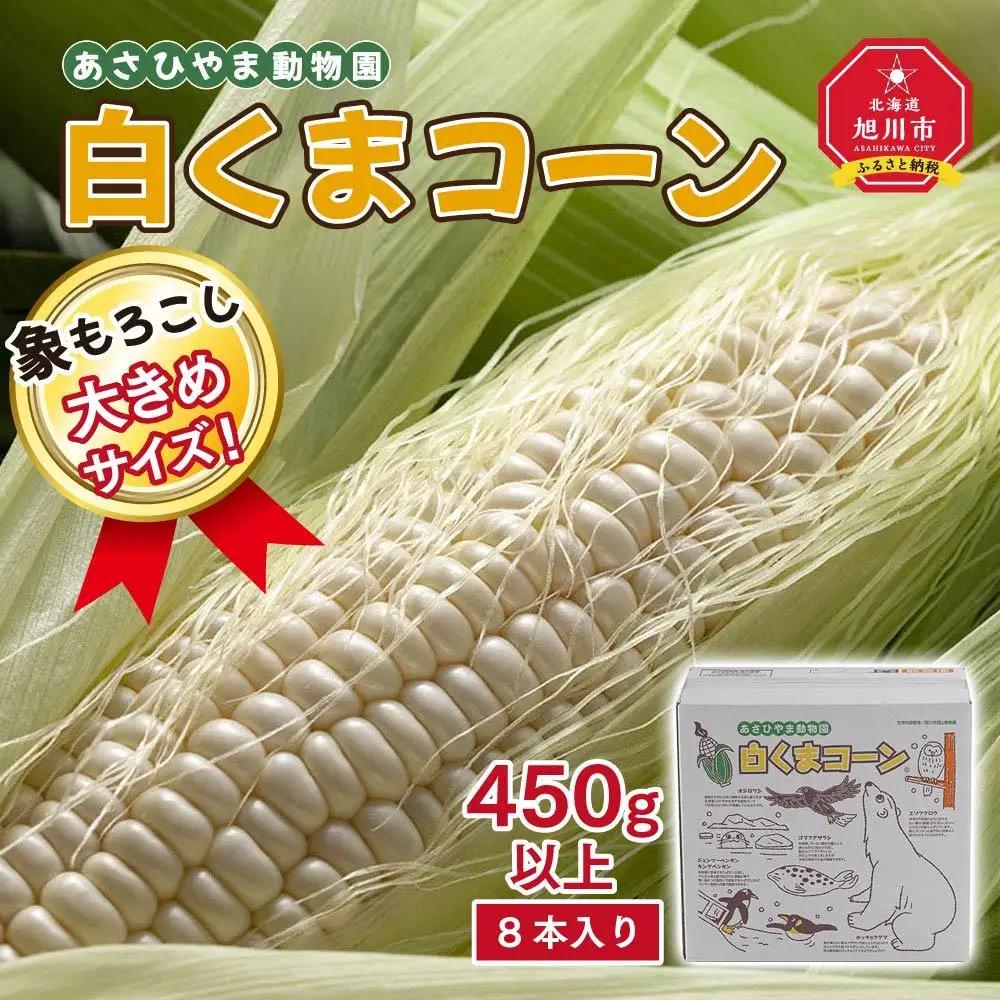 【先行予約】象もろこし（白くまコーン）大きいサイズのトウモロコシ 450ｇ以上8本入り (2026年8月下旬から発送開始) | トウモロコシ _01413