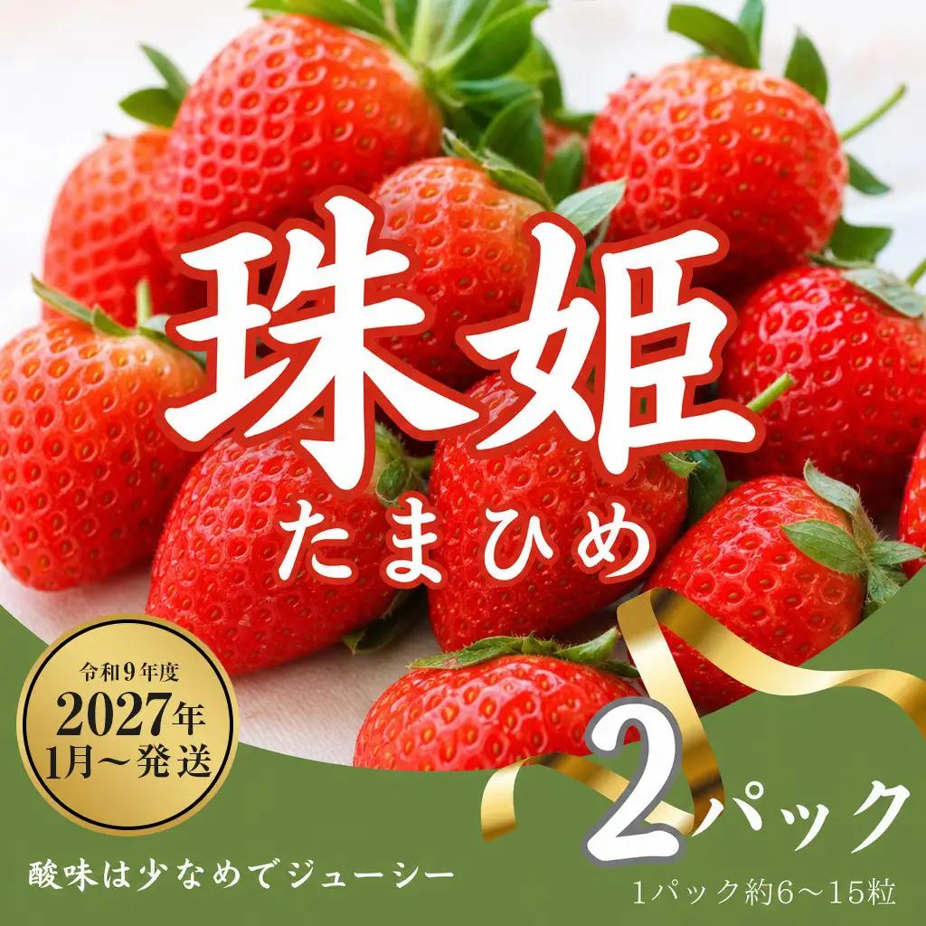 いちご 珠姫 2P【R9年1月～発送】いちご