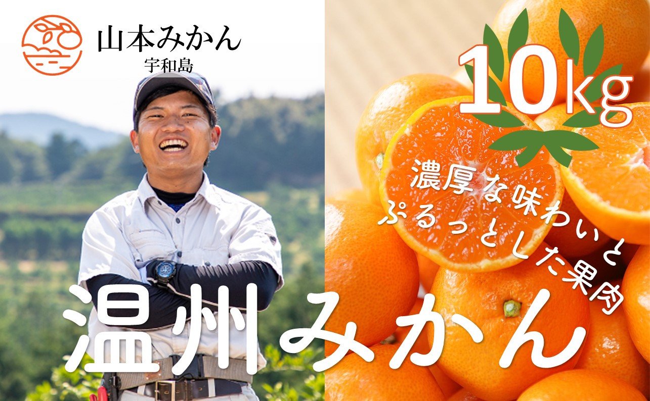 温州みかん 10kg（山本みかん）【11月～12月お届け】※予約受付