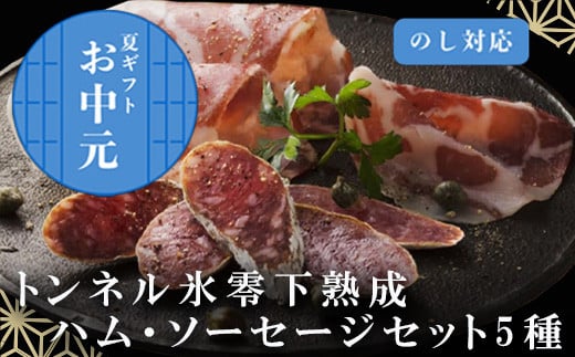 「お中元」トンネル氷零下熟成ハム・ソーセージセット TPC-2 詰合せ おかず おつまみ サラミ 生ハム ベーコン セット ギフト