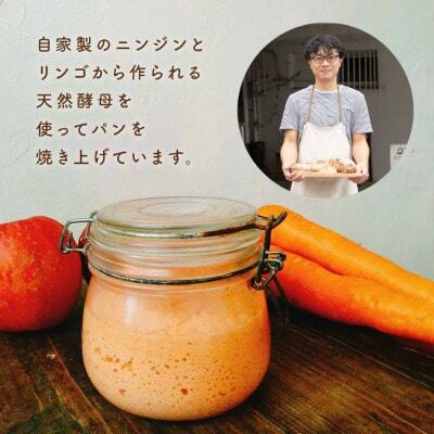 【毎月定期便】ときはや石窯薪火パンのバラエティセット全6回【配送不可地域：離島】【4076059】