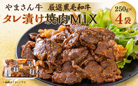 黒毛和牛やまさん牛　タレ漬け焼肉MIX250g×4【配送不可地域：離島】【1607963】