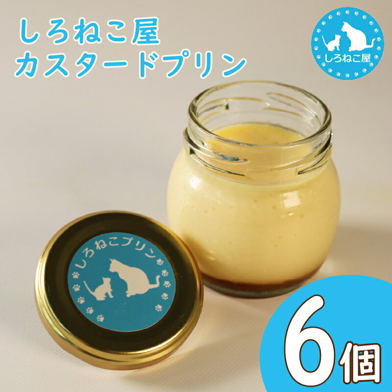【ふるさと納税】 プリン カスタード 6個 セット デザート スイーツ おいしい 濃厚 なめらか 卵 ミルク カラメル 手作り ギフト 贈り物 お取り寄せ グルメ 絶品 絶妙 とろける 口どけ 定番 藤枝市 静岡県